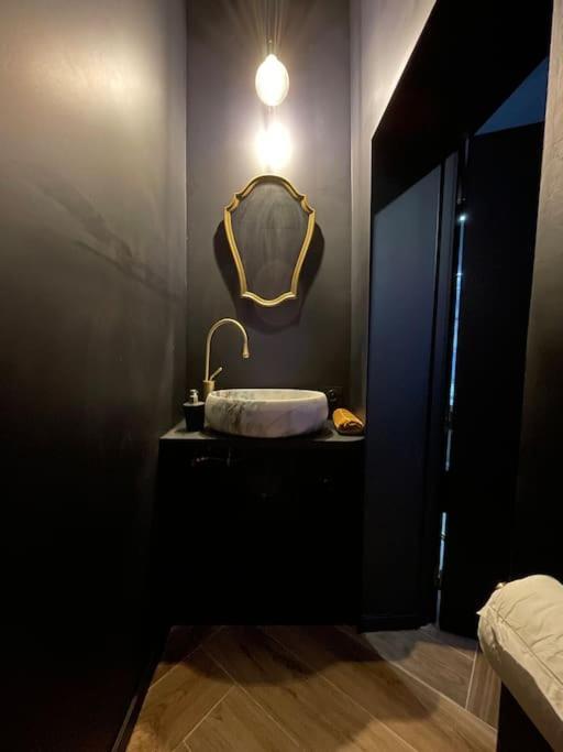 Myinsolite-L'Onyx Vauvert Extérieur photo
